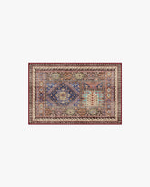 Rumi Multicolor Rug