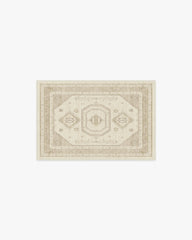 Shira Ivory & Natural Flatwoven Rug