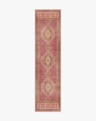 Rayne Pink & Orange Rug