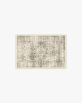 Sarrah Sage Rug